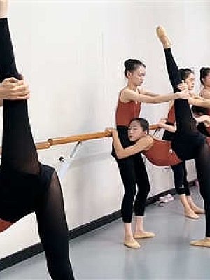 舞蹈生日常训练超大合集270多部高清视频-200gb