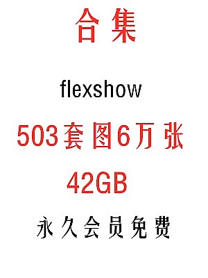 flexshow系列合集503套6万张图片42gb