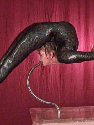 柔术软功合集Flexshow Media – Videos–系列120部视频,持续更新